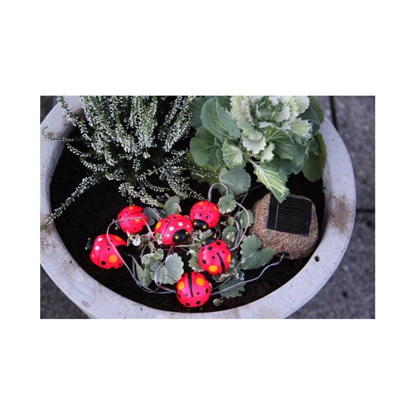 Lampa ogrodowa Solar Energy 6 Light Lady Bugs-image-3