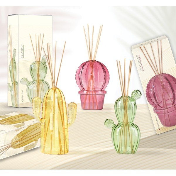 Dyfuzor Cactus – Brandani-image-1