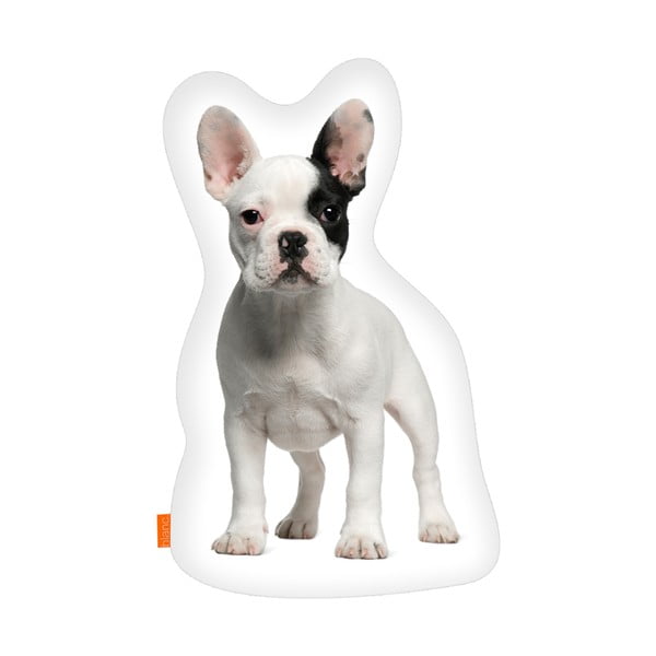 Poduszka French Bulldog, 40x30 cm