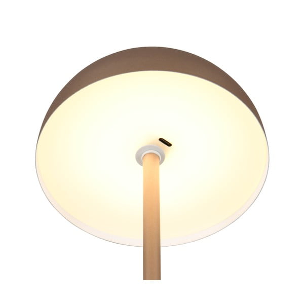 Lampa stołowa LED w kolorze brązu z metalowym kloszem (wysokość 21 cm) Munoz – Trio-image-4