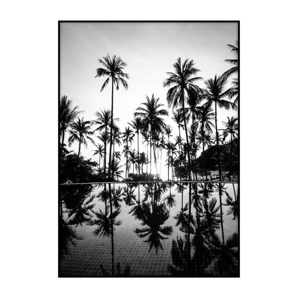 Plakat Imagioo Pool And Palms, 40x30 cm
