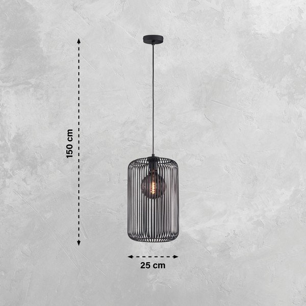 Czarna lampa wisząca z metalowym kloszem ø 25 cm Cage – Fischer & Honsel-image-4