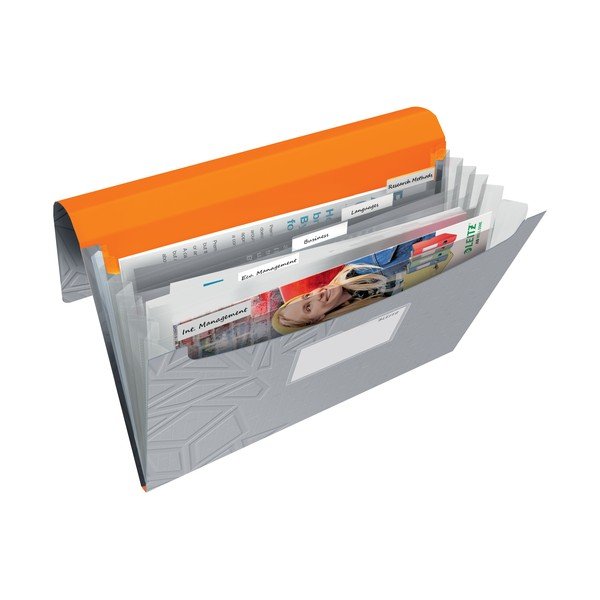 Szara teczka z przegródkami Leitz-image-1