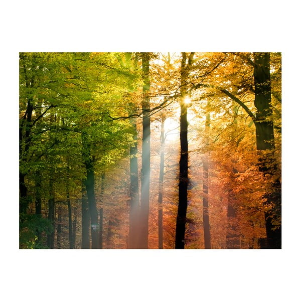 Tapeta wielkoformatowa Artgeist Beautiful Autumn, 200x154 cm