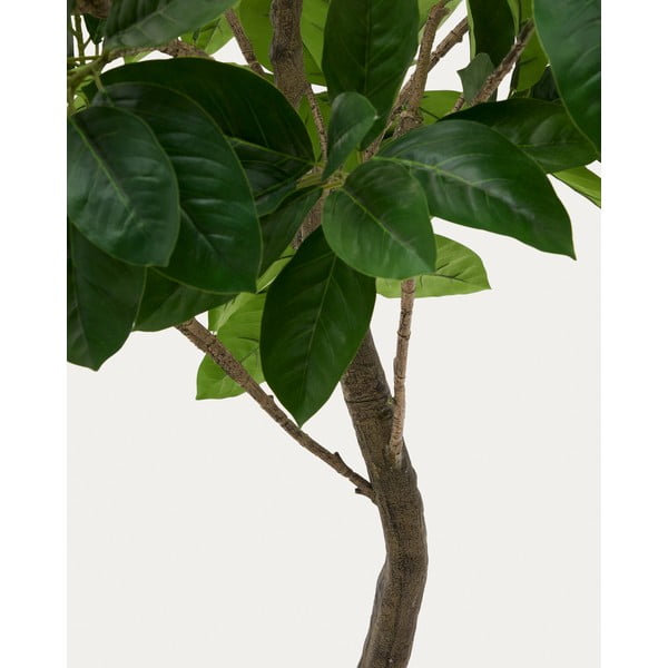 Sztuczny fikus (wysokość 210 cm) Ficus – Kave Home-image-2