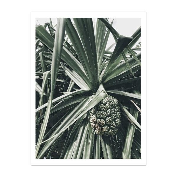Plakat HF Living Botanic Palm, 30x40 cm