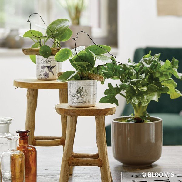 Brązowa ceramiczna doniczka Big pots Bari, ø 19 cm-image-1