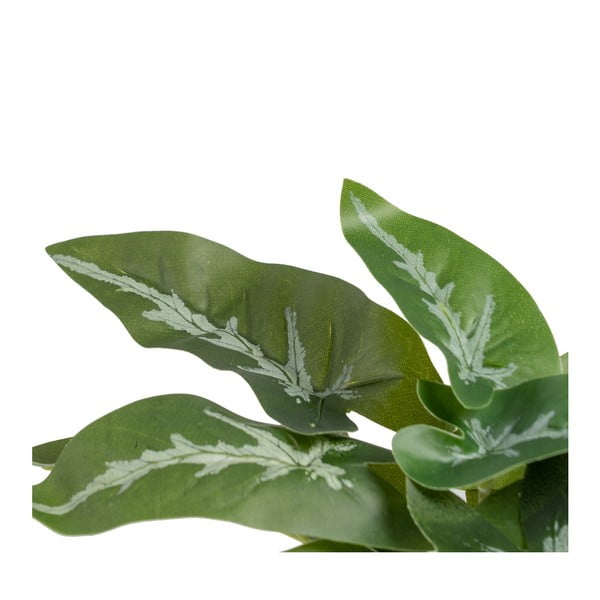 Sztuczna roślina (wysokość 21 cm) Syngonium – Ixia-image-2