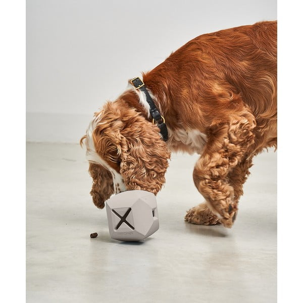 Zabawka dla psa Dado Greige – MiaCara-image-1