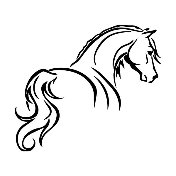 Naklejka Fanastick Elegant Horse-image-2