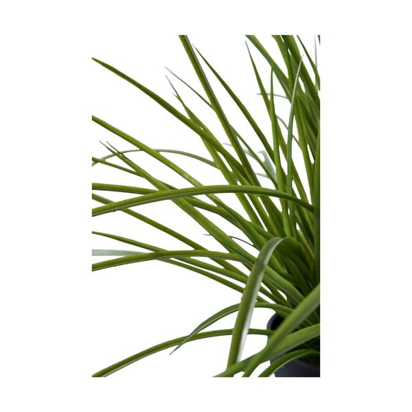 Sztuczna trawa (wysokość 45 cm) – House Nordic-image-3