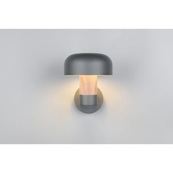 Zewnętrzna lampa ścienna (wysokość 24,5 cm) Fraser – Trio-image-2