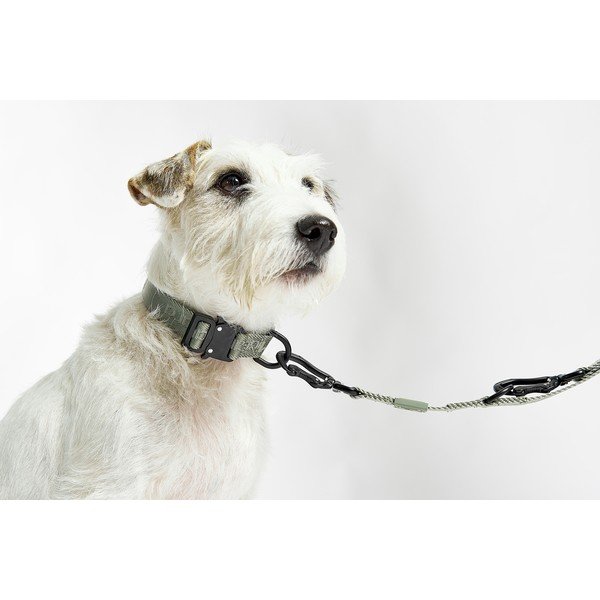 Zielona obroża w rozmiarze M/L długość 35 cm Modena Grolive M/ML – MiaCara-image-1