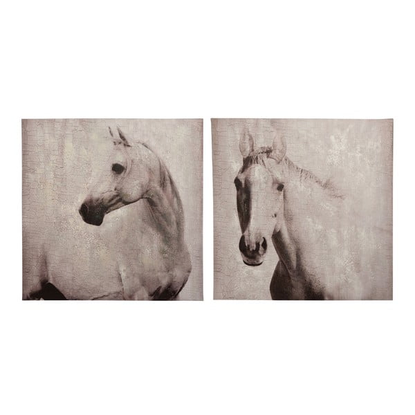 Zestaw
  2 obrazów Horse, 80x80 cm