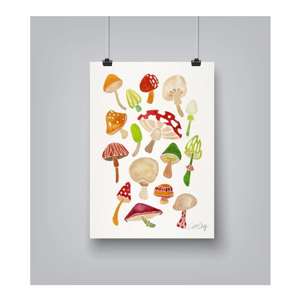 Plakat Americanflat Mushrooms by Cat Coquillette, 30x42 cm