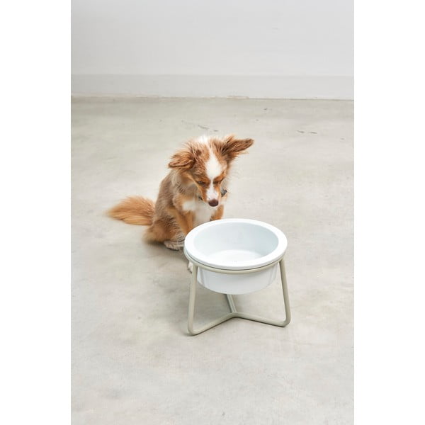 Porcelanowa miska ze stojakiem dla psów ø 20 cm Pranzo Greige M – MiaCara-image-1
