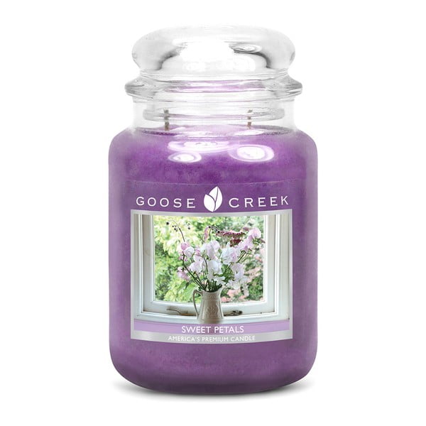 Świeczka zapachowa w szklanym pojemniku Goose Creek Słodkie płatki, 150 h