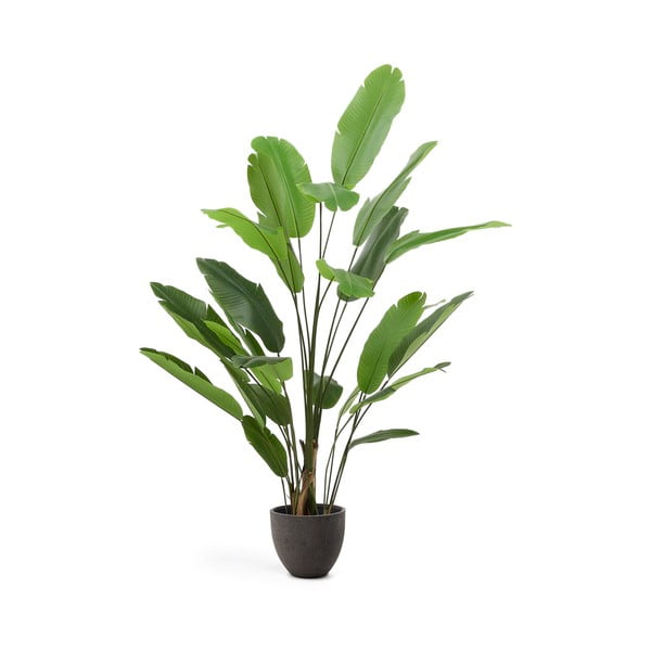 Sztuczny bananowiec (wysokość 210 cm) – Kave Home