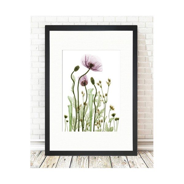 Obraz Tablo Center Wild Plants, 24x29 cm-image-1