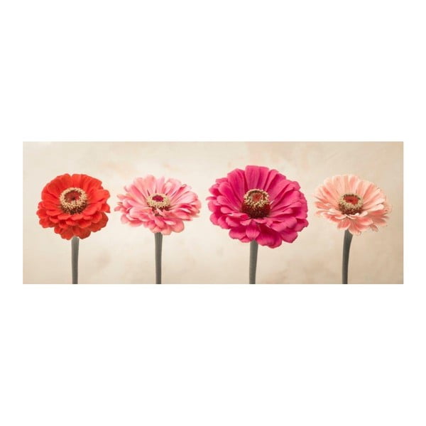 Obraz szklany DecoMalta Flowers, 80x30 cm