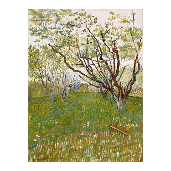 Reprodukcja obrazu Vincenta van Gogha - Flowering Orchards, 50x40 cm