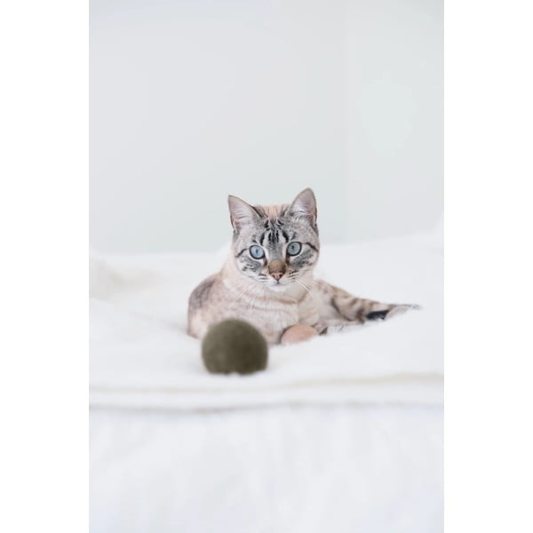 Zabawki dla kota zestaw 3 szt. Globo Nougat – MiaCara-image-3