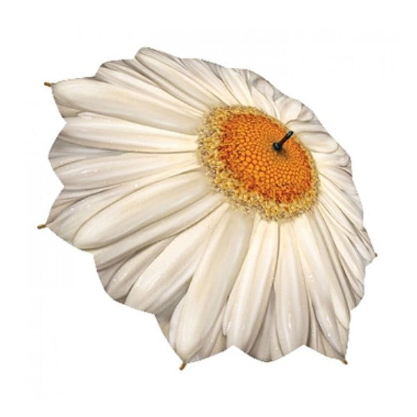 Parasolka Flower Collection, daisy