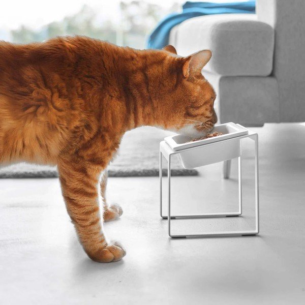 Miska ze stojakiem dla czworonoga ceramiczna Nooks – YAMAZAKI-image-2