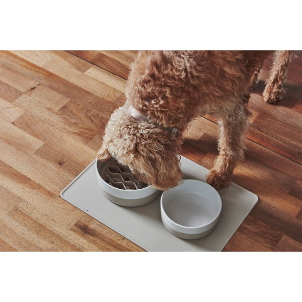 Porcelanowa miska dla psów ø 21,5 cm Coppa Greige M/L – MiaCara-image-3