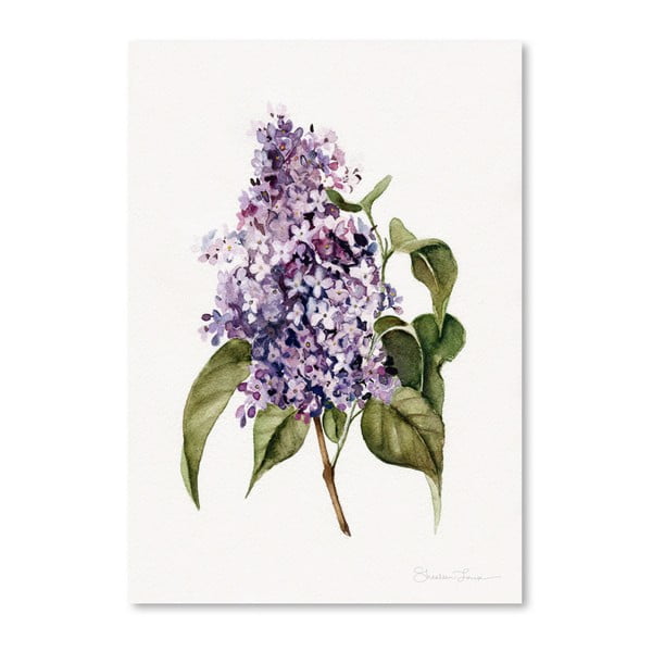 Plakat Americanflat Lilac Branch by Shealeen Louise, 30x42 cm