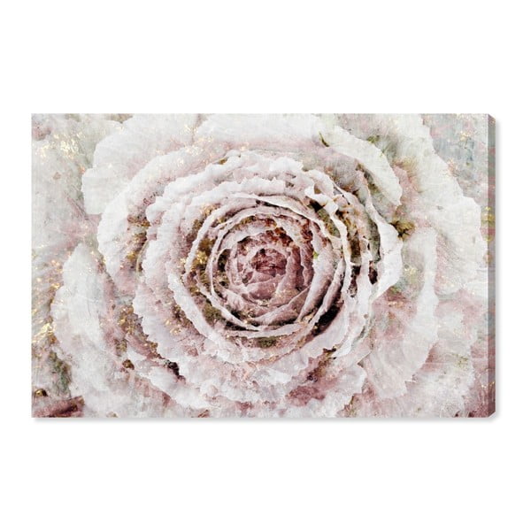 Obraz Oliver Gal Blush Winter Flower, 60x40 cm