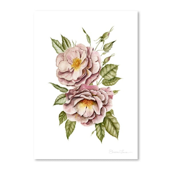 Plakat Americanflat Matangi Roses by Shealeen Louise, 30x42 cm