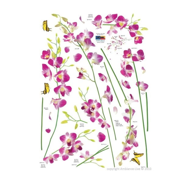 Naklejka Ambiance Orchids Flowers-image-2