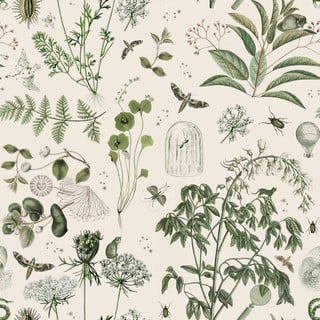 Tapeta 100x280 cm Green Botanical Stories – Dekornik