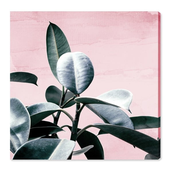 Obraz Oliver Gal Plant Life Blush, 40x40 cm