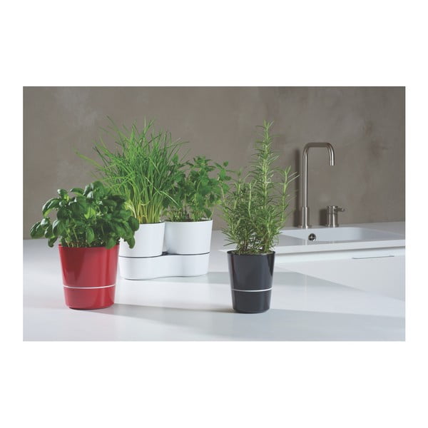 Szara doniczka na zioła Mepal Hydro Herbs-image-3