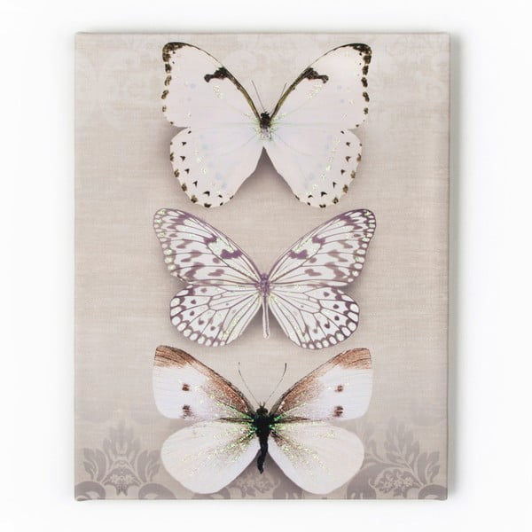 Obraz Graham & Brown Butterfly Trio, 40x50 cm