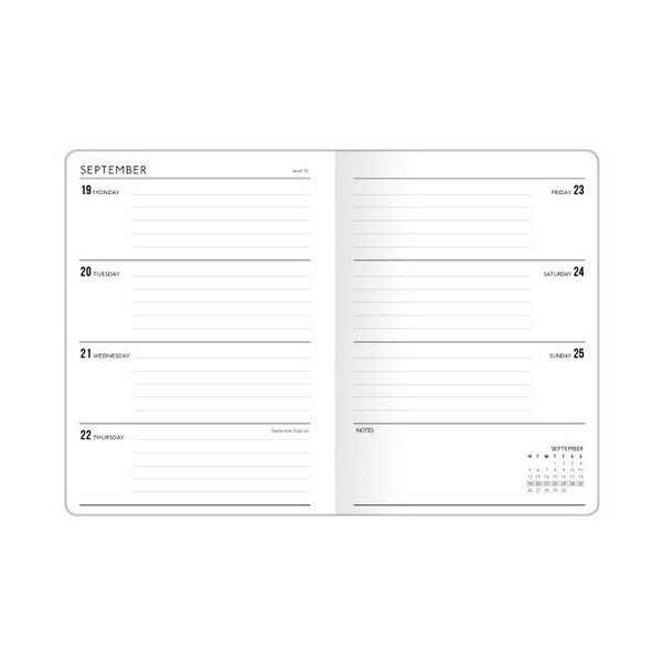 Kalendarz A5 Go Stationery Gold Polka Cream-image-1