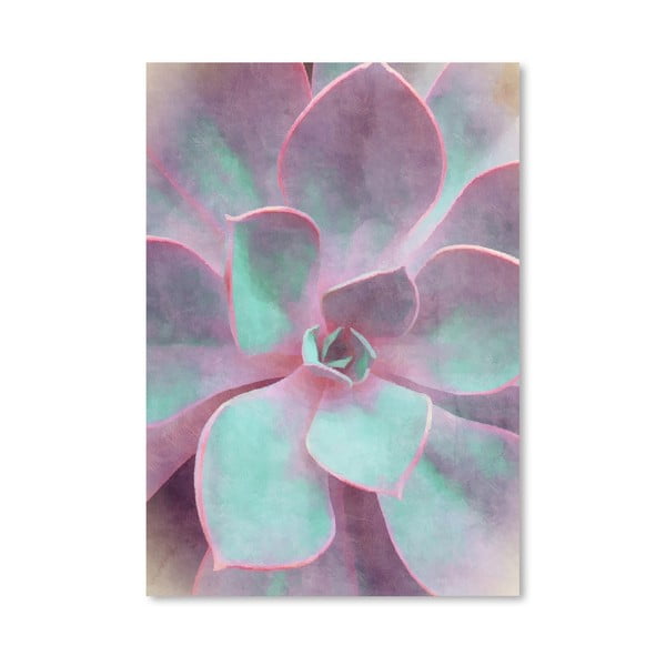 Plakat Americanflat Sweet Succulent, 30x42 cm