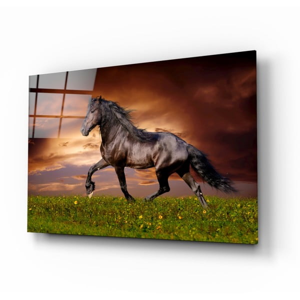 Szklany obraz Insigne Nobility of the Horse, 110x70 cm