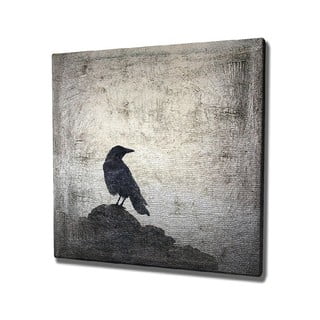 Obraz na płótnie Black Bird, 45x45 cm