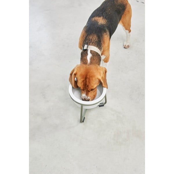 Porcelanowa miska ze stojakiem dla psów ø 20 cm Pranzo Grolive M – MiaCara-image-4