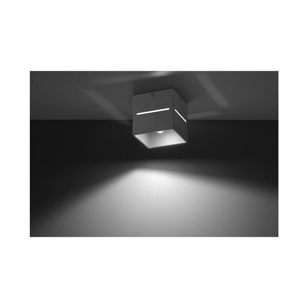 Szara lampa sufitowa Sollux Lorum-image-2