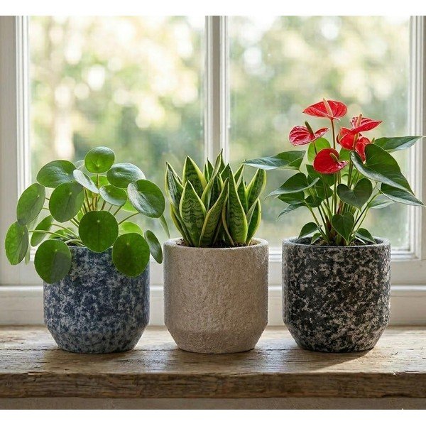 Ceramiczna ręcznie wykonana osłonka na doniczkę ø 14 cm Almada – Ego Dekor-image-1