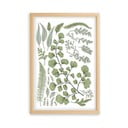Obraz w ramie z drewna sosnowego Surdic Leafes Collection, 50x70 cm
