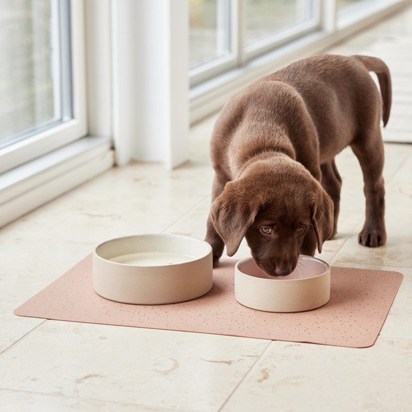 Miska dla psów ceramiczna ø 13 cm Sia – OYOY Living Design-image-2