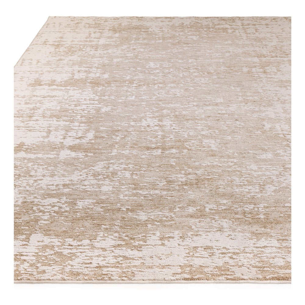 Beżowy/kremowy dywan 240x320 cm Anders Beige Natural – Asiatic Carpets (zdjęcie 9)