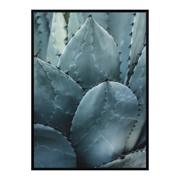 Plakat Nord & Co Cactus, 40x50 cm
