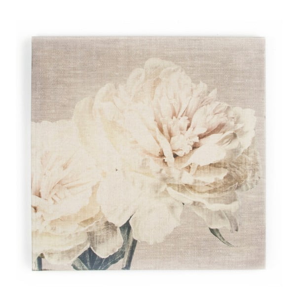 Obraz Graham & Brown Cream Petals, 60x60 cm