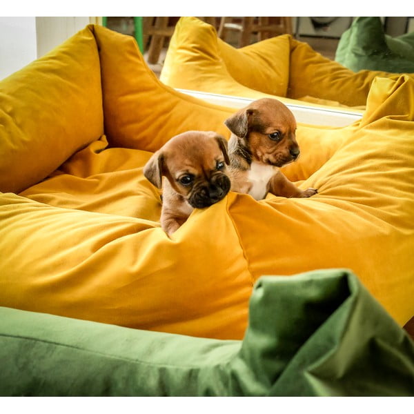 Żółte legowisko dla psów 80x67 cm – Madison-image-1